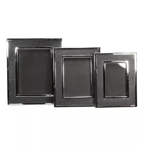 Alligator Picture Frames 