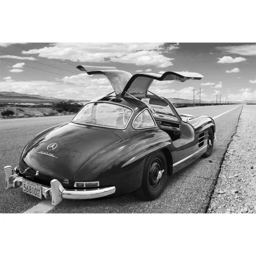 Coast to Coast 180x120cm